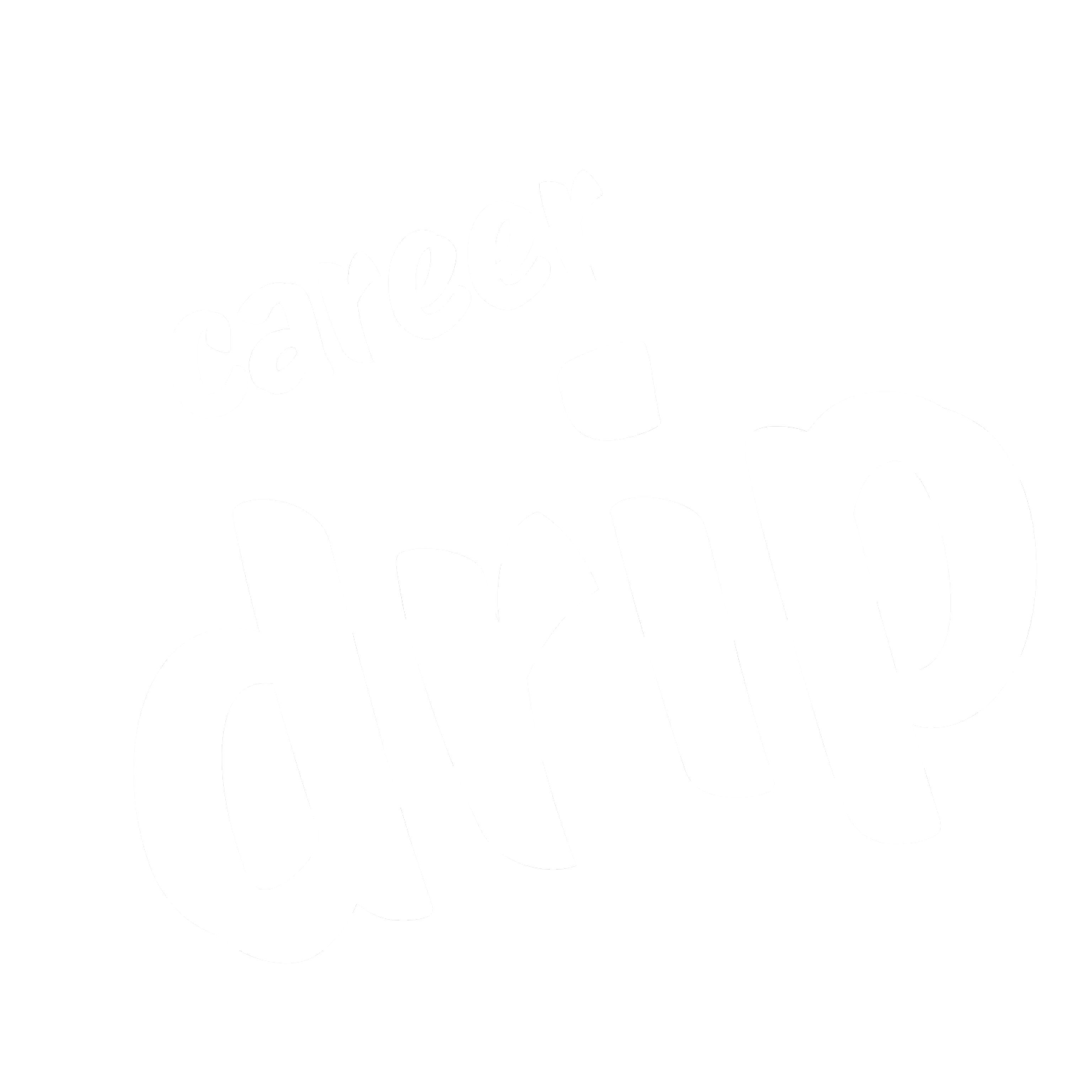 Career Drip